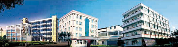 興業(yè)皮革科技股份有限公司在深交所成功上市（1992年，公司參股興業(yè)皮革廠，成為主要股東之一）。